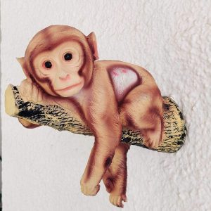 Monkey Hanging