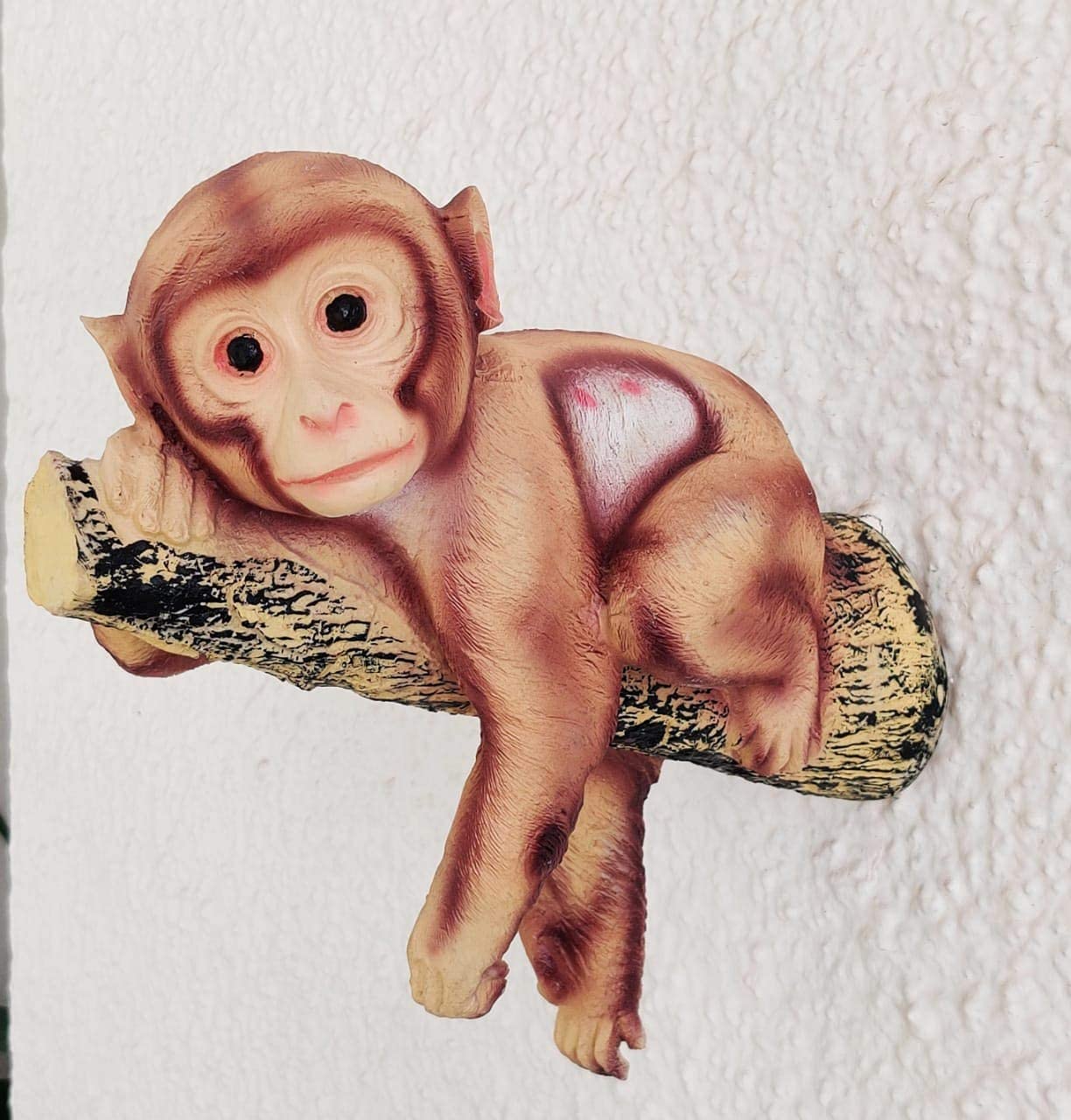 Monkey Hanging