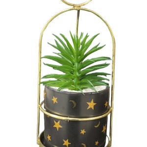 VASE PLANT