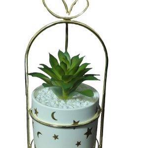 Vase plant