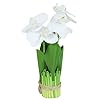 ORCHID FLOWER
