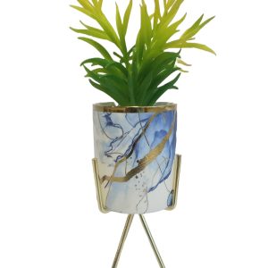 PLANT WITH STAND