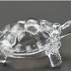 TORTOISE