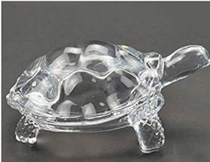 TORTOISE