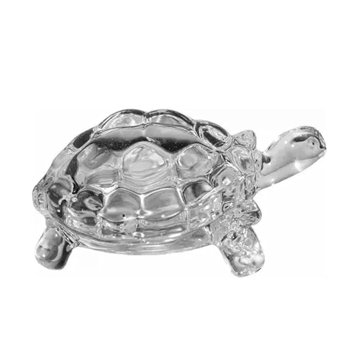 TORTOISE1