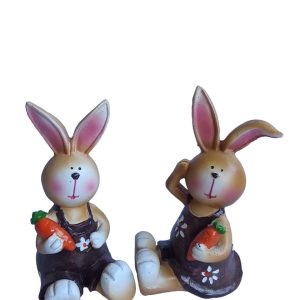 rabbit couple