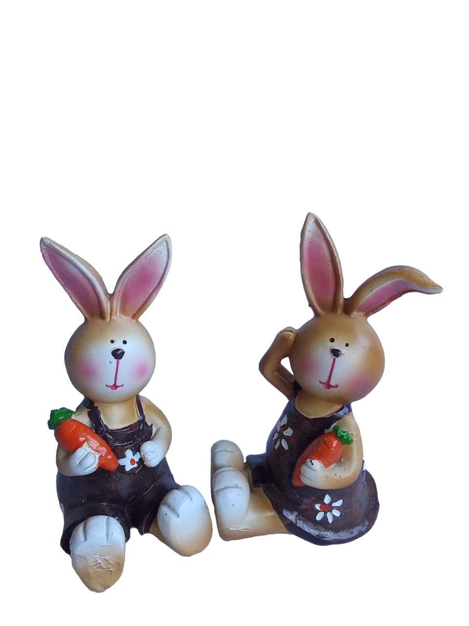 rabbit couple