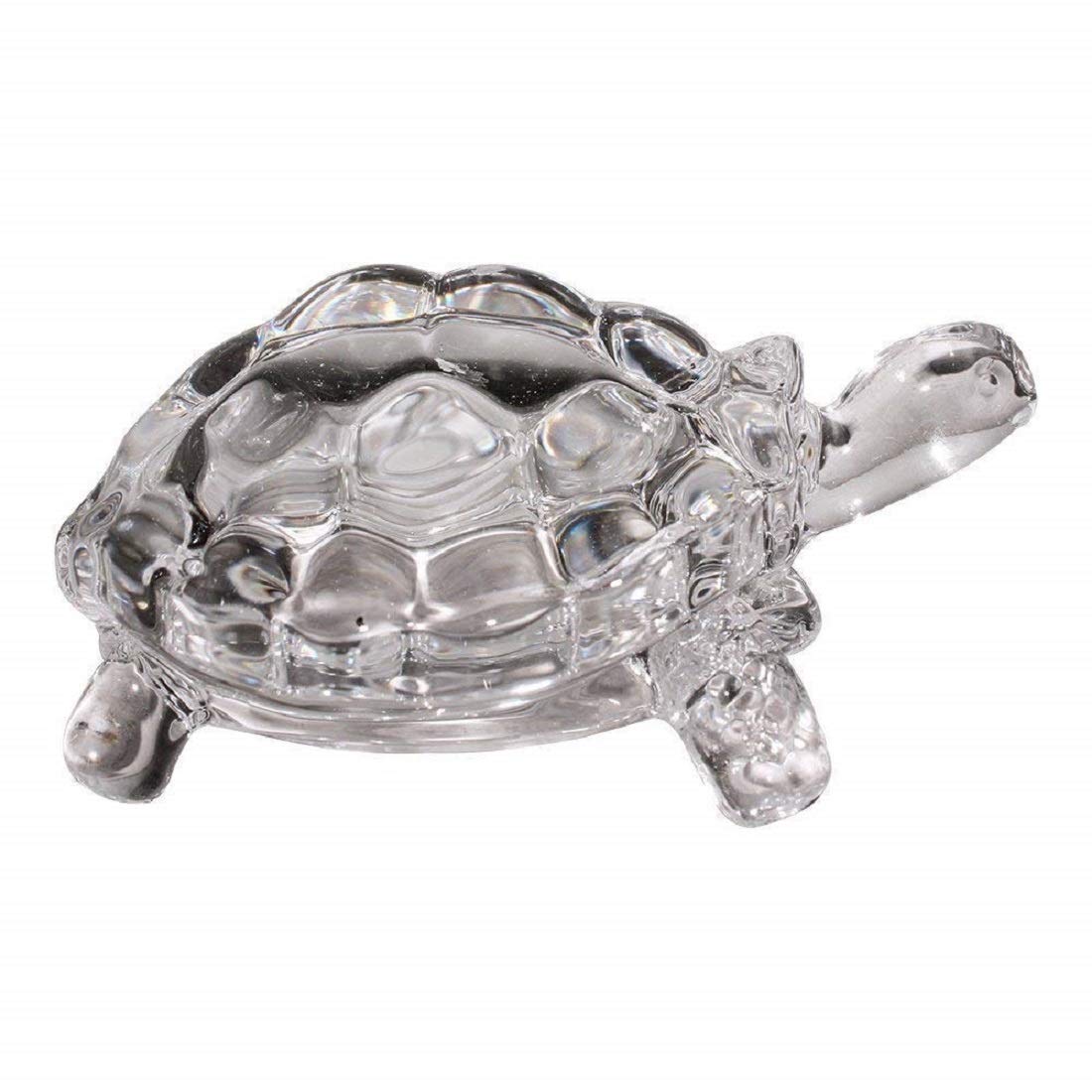 tortoise
