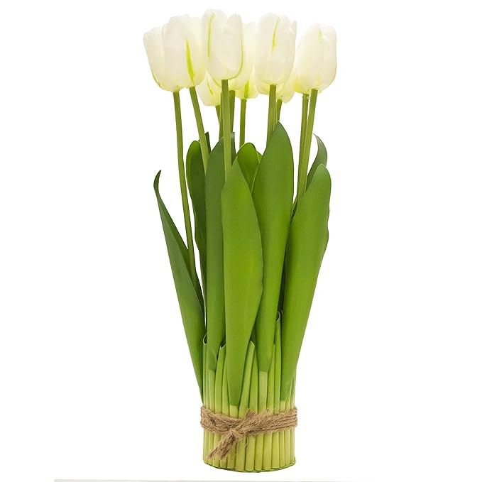 tulip flower